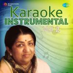 Karaoke Instrumental Vol 2 - Hindi