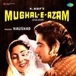 Mughal-E-Azam (Colour)