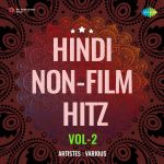 Hindi Non-Film Hitz Vol-2