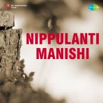 Nippulanti Manishi