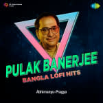 Pulak Banerjee Bangla Lofi Hits