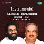 Instrumental - K J Yesudas And P Jayachandran Vol 2
