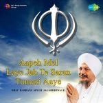 Aapeh Mel Laye Jab Te Saran Tumari Aaye