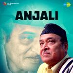 Anjali(assam)