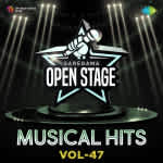 Open Stage Musical Hits - Vol 47