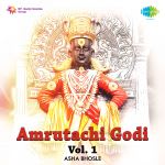 Amrutachi Godi Volume 2