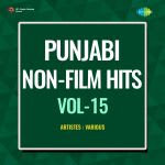 Punjabi Non-Film Hits Vol-15