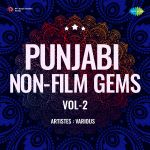 Punjabi Non-Film Gems Vol-2