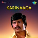 Karinaaga