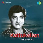 Kattukallan