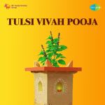 Tulsi Vivah Pooja