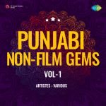 Punjabi Non-Film Gems Vol-1