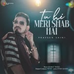 Tu Hi Meri Shab Hai
