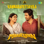 Vannarapettayila - Maaveeran
