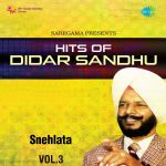 Hits Of Didar Sandhu Vol.3