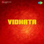 Vidhata