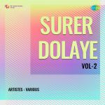 Surer Dolaye Vol-2