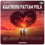 Kaatrodu Pattam Pola - Slow Reverb
