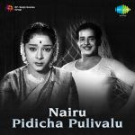 Nairu Pidicha Pulival