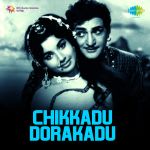 Chikkadu Dorakadu