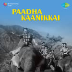 PaadhaKaanikkai