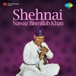ustad bismillah khan wedding shehnai mp3 free download