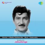 Jebu Donga