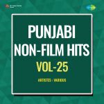 Punjabi Non-Film Hits Vol-25
