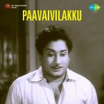 Paavaivilakku