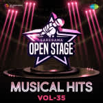 Open Stage Musical Hits - Vol 35