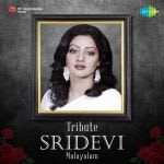 Tribute : Sridevi (Malayalam)