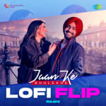 Jaan Ke Bhulekhe LoFi Flip