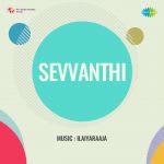 Sevvanthi
