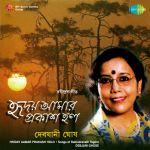 Hriday Aamar Prakash Holo