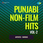 Punjabi Non-Film Hits Vol-2