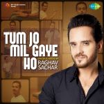 Tum Jo Mil Gaye Ho - Raghav Sachar