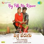 Hey Pilla Nee Kosam - Pelli Parugu
