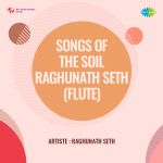 Songs Of The Soil-Raghunath Seth (Flute)