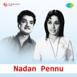 Nadan Pennu