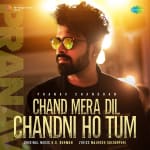 Chand Mera Dil Chandni Ho Tum - Pranav Chandran