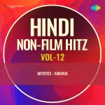 Hindi Non-Film Hitz Vol-12