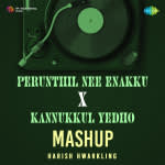 Perunthil Nee Enakku X Kannukkul Yedho - Mashup