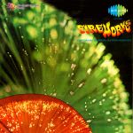 Fire Works - Kokani Musical Extravaganza