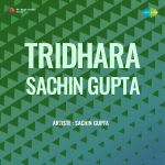 Tridhara - Sachin Gupta (Cd-1)