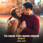 Tu Hain Toh Main Hoon - Remix