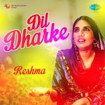 Dil Dharke Reshma