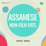 Assamese Non-Film Hits