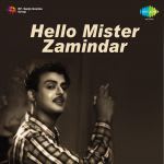 Hallo Mr. Zamindar