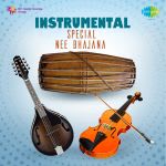 Instrumental - Special Nee Bhajana