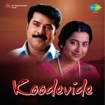 Koodevide